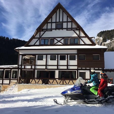 Chalet Alpina Moroeni Exterior photo