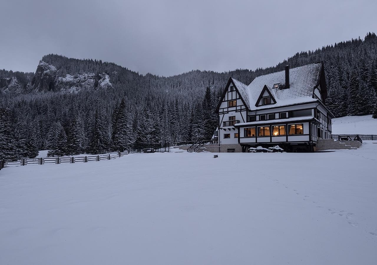 Chalet Alpina Moroeni Exterior photo
